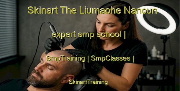Skinart The Liumaohe Nancun expert smp school | SmpTraining | SmpClasses | SkinartTraining-China